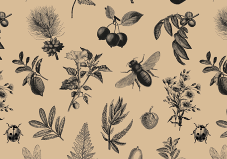 Botanical