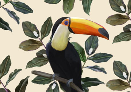 Tucano