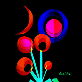 Flores astrais 1