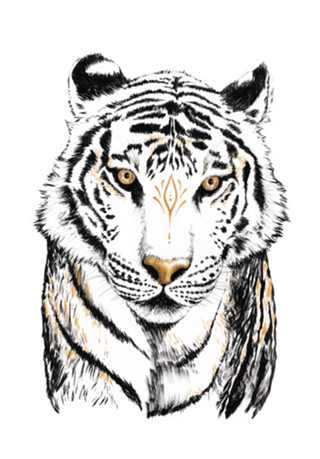 Tigre Branco Guardião em nanquim e dourado