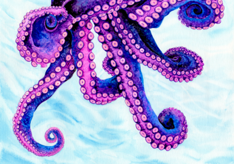 Lady Octopus - Aquarela Polvo Pink