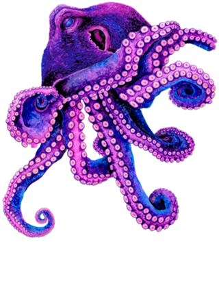 Lady Octopus - Aquarela Polvo Pink