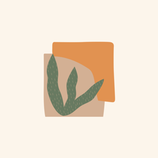 Shapes and Plants