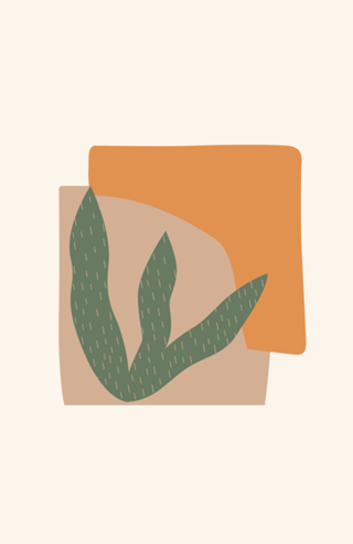 Shapes and Plants