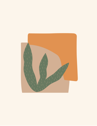 Shapes and Plants