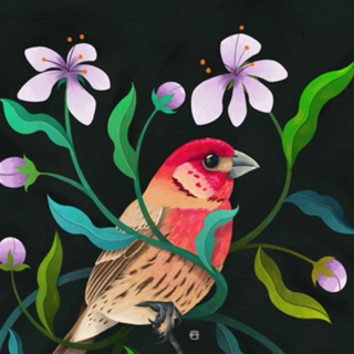 Bird 14