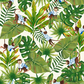 Macaquinhos na floresta