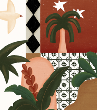 JANELA TROPICAL