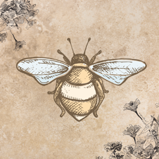 Beeeee Vintage!