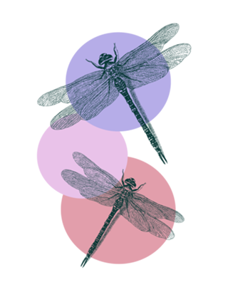 Libélula