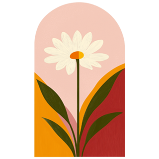 Margarida Minimalista