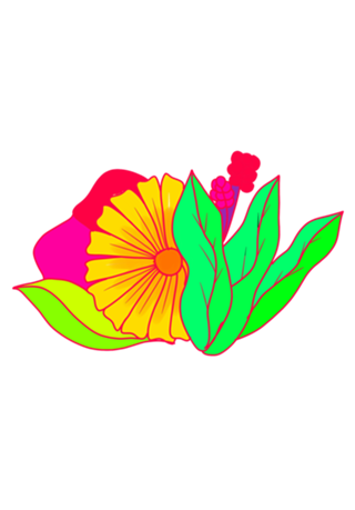 PInk Flower minimal margarita daisy