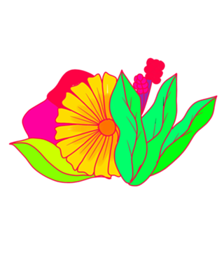 PInk Flower minimal margarita daisy
