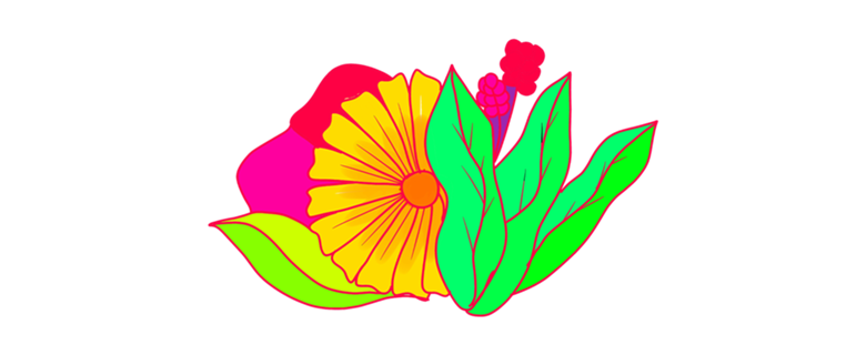 PInk Flower minimal margarita daisy