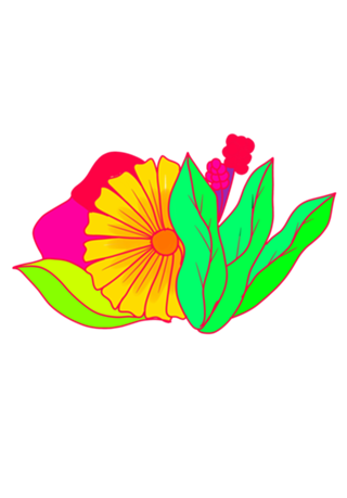 PInk Flower minimal margarita daisy