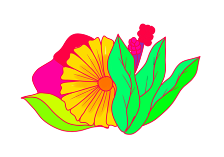 PInk Flower minimal margarita daisy
