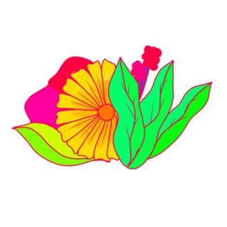 PInk Flower minimal margarita daisy