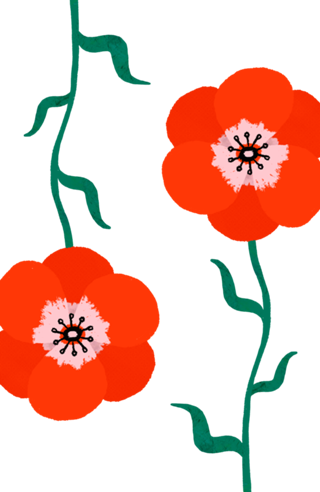 Not Lonely Poppy 2