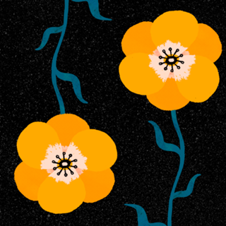 Sunny, Not Lonely Poppy