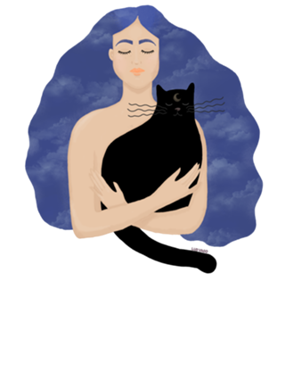 Gato da Noite