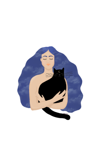 Gato da Noite