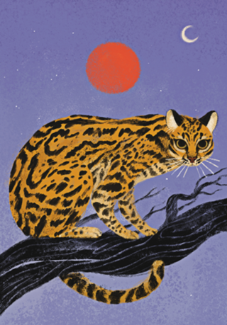 Jaguatirica