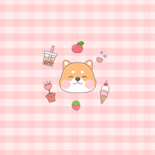 Shiba