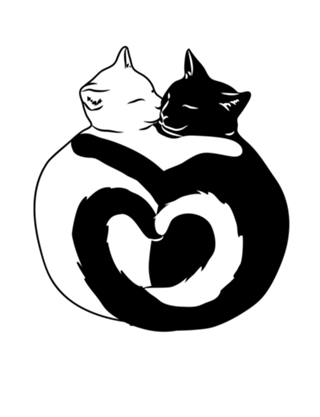 Gatos de coração