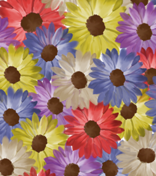 Campo de flores