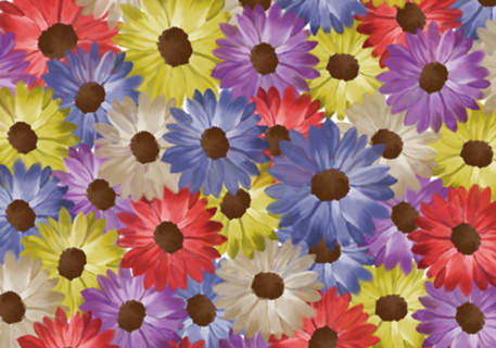 Campo de flores