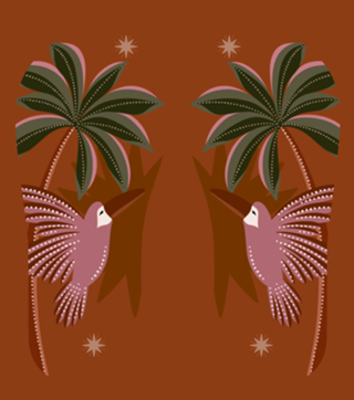 Tucanitos