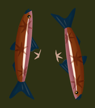 Peixo Sardinha