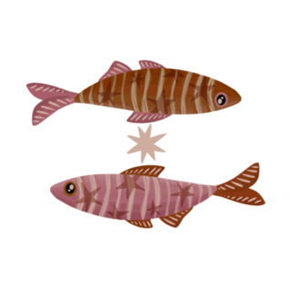 Peixinhos de Verão