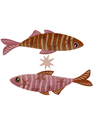 Peixinhos de Verão