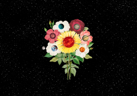 SunFlower System Planets