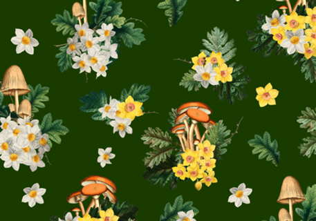 Fungi Fantasy Garden