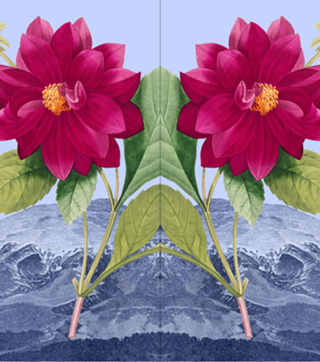 Floral Landscape Dahlia