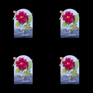 Floral Landscape Dahlia