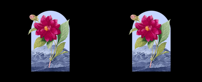 Floral Landscape Dahlia