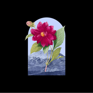Floral Landscape Dahlia