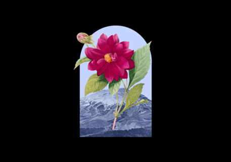 Floral Landscape Dahlia