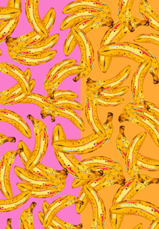 Banana bicolor