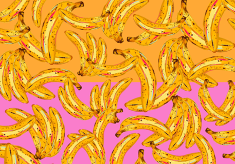 Banana bicolor