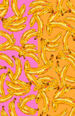 Banana bicolor