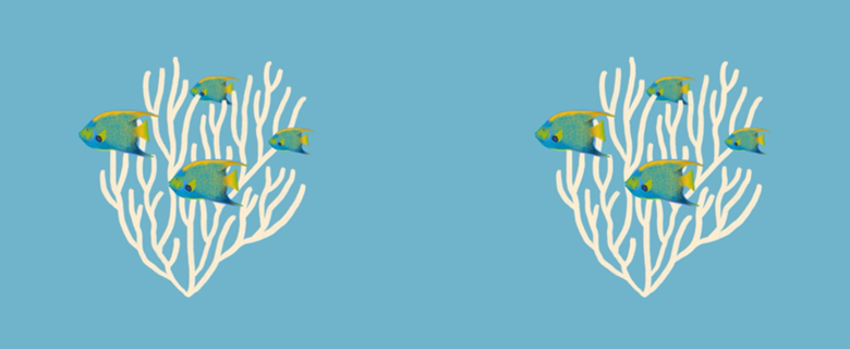 Peixes no coral