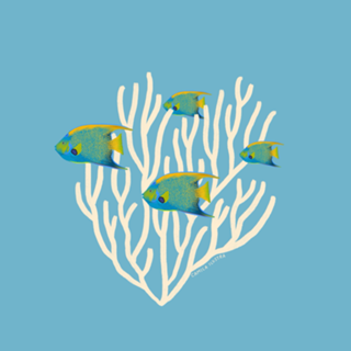 Peixes no coral