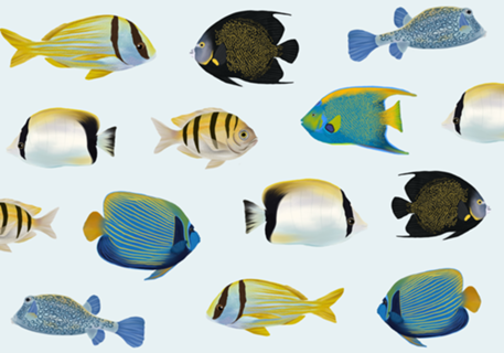 Peixinhos II