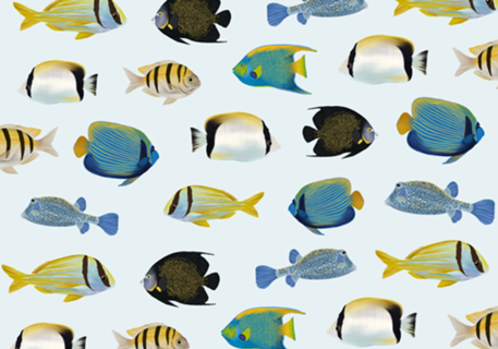 Muitos peixinhos