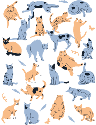 Gatos fazendo coisas de gato