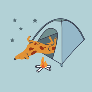 Doguinho Acampando